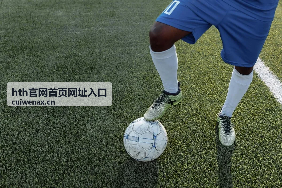 hth官网入口企业用户访问流程